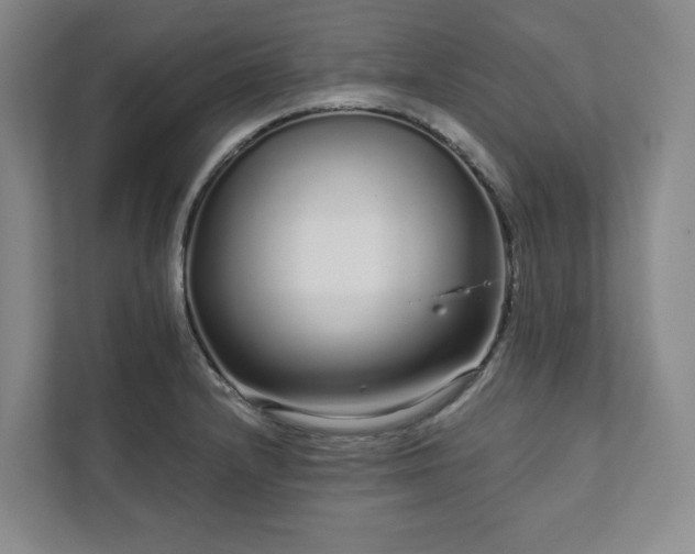 X0000111931232200908031111