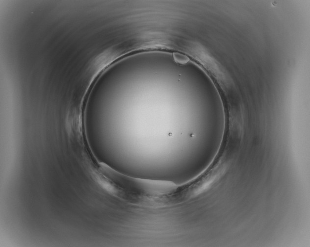 X0000111931234200908031111