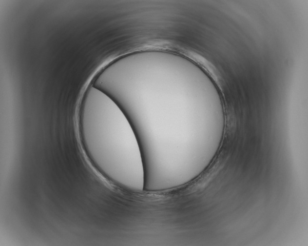 X0000111931235200908031111