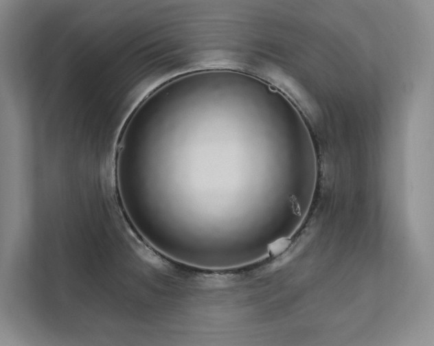 X0000111931236200908031111