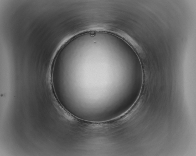 X0000111931240200908031111