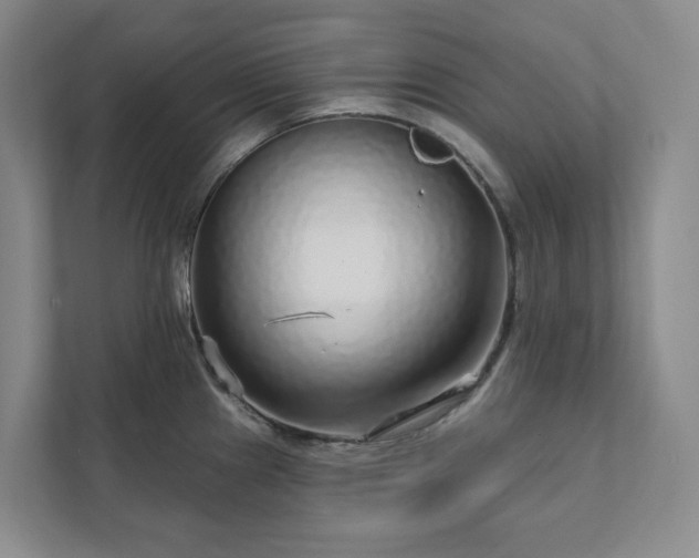 X0000111931241200908031111