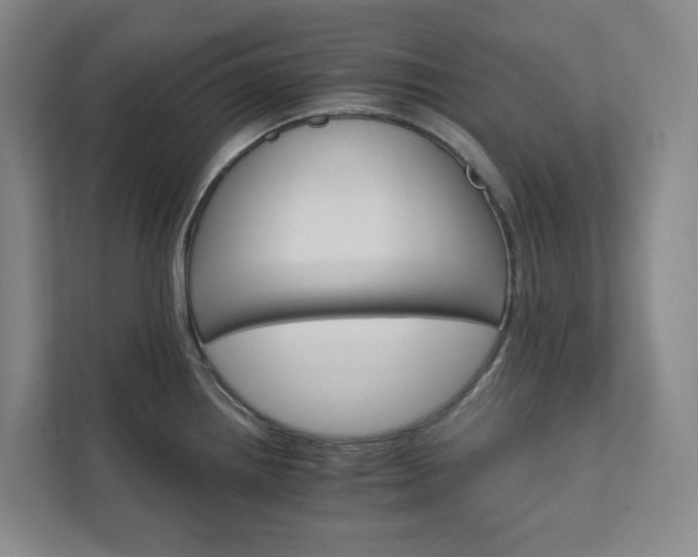 X0000111931242200908031111