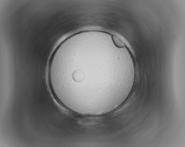 X0000111931245200908031112
