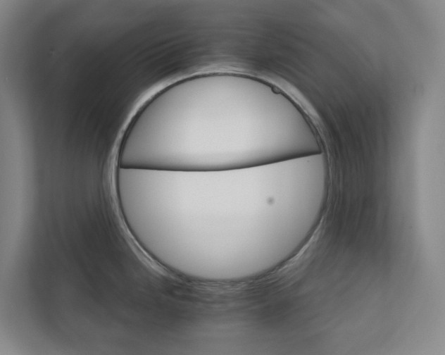 X0000111931246200908031112