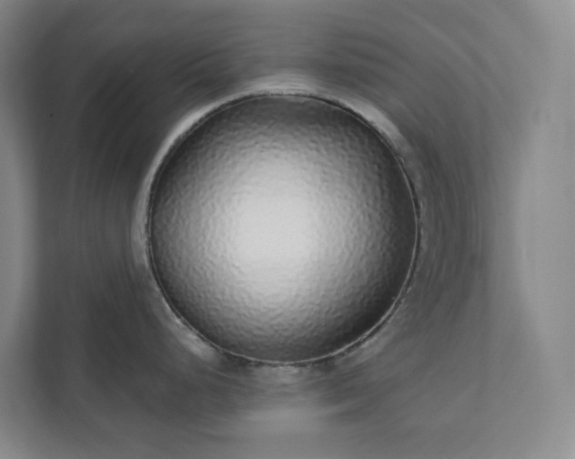 X0000111931248200908031112