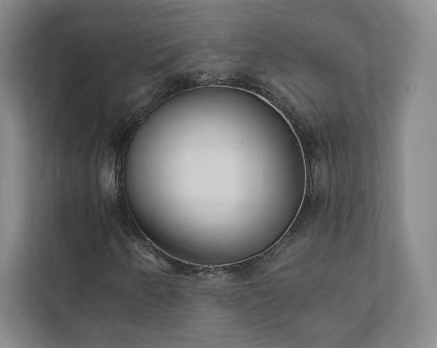X0000111931250200908031111