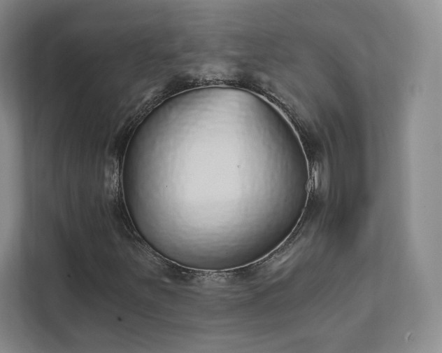 X0000111931251200908031111