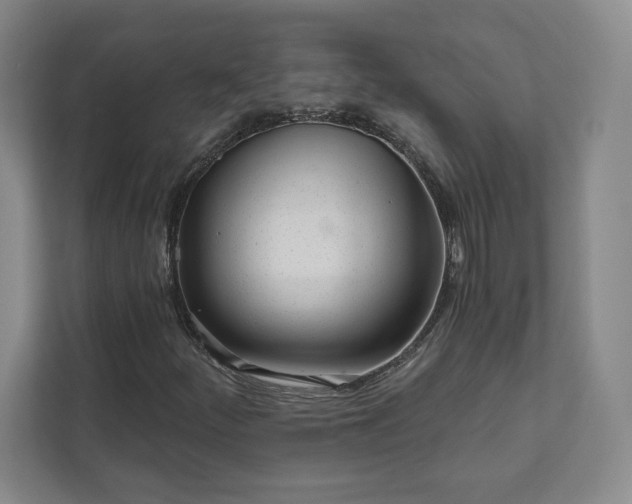 X0000111931252200908031111
