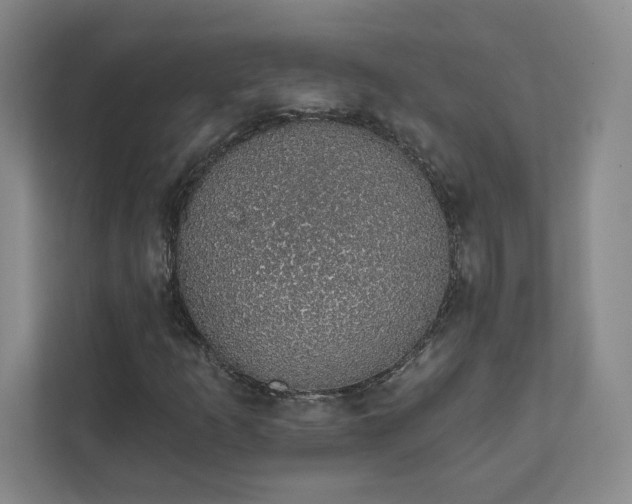 X0000111931253200908031111