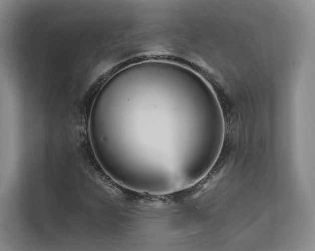 X0000111931255200908031111