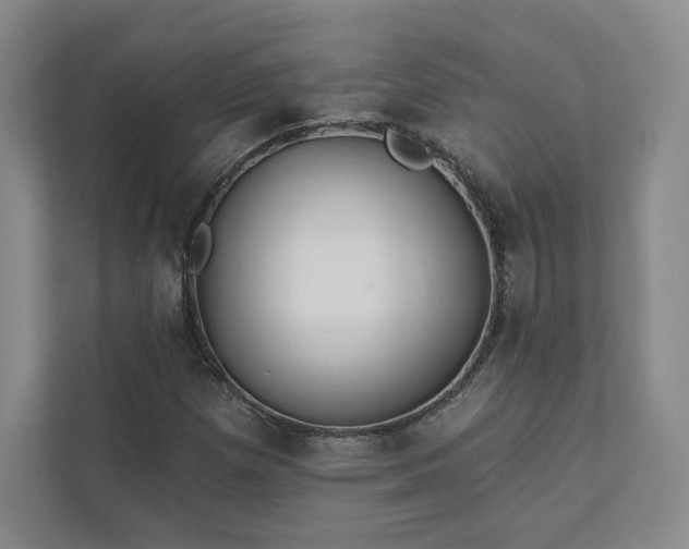 X0000111931257200908031111