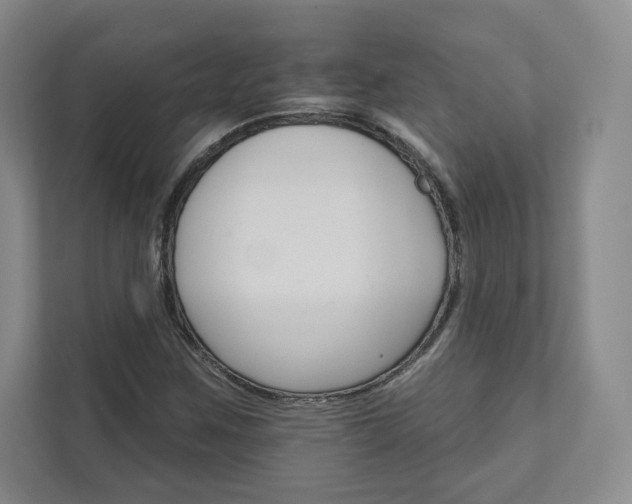 X0000111931259200908031111