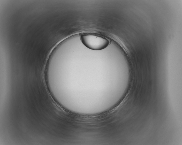 X0000111931260200908031111