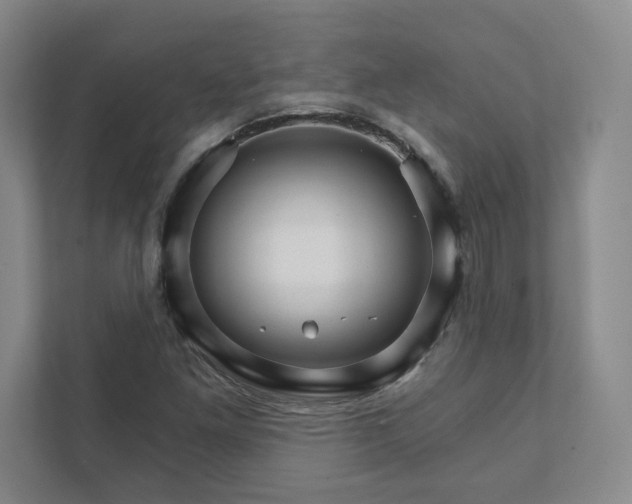 X0000111931261200908031111