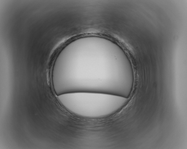 X0000111931262200908031111