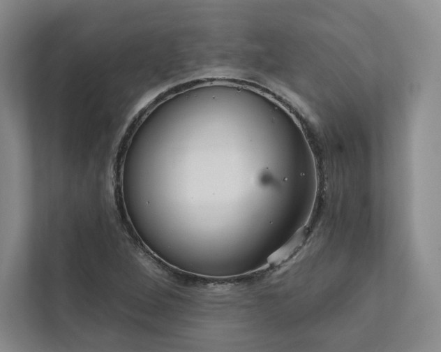 X0000111931264200908031111