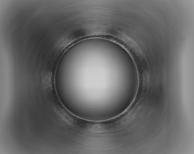 X0000111931265200908031111