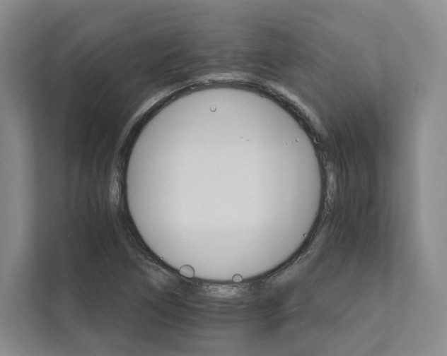 X0000111931266200908031111