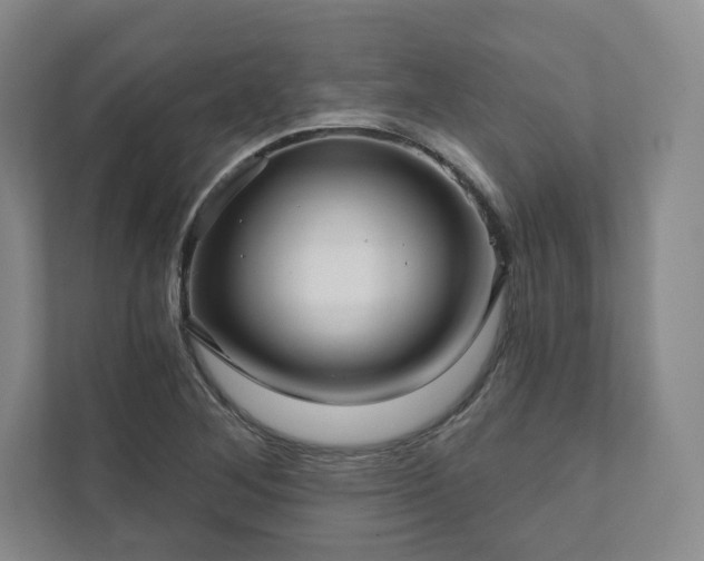 X0000111931268200908031111