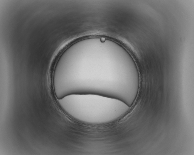 X0000111931270200908031111