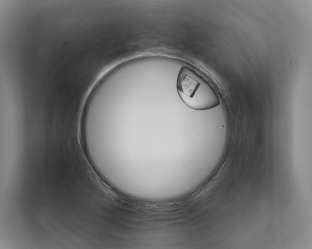 X0000111931272200908031111