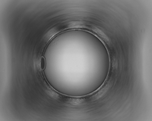 X0000111931273200908031111