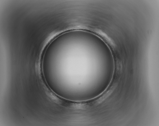 X0000111931278200908031111