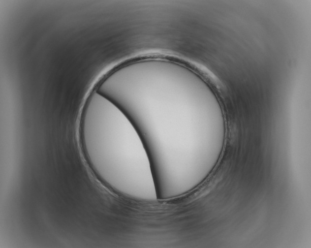 X0000111931279200908031111