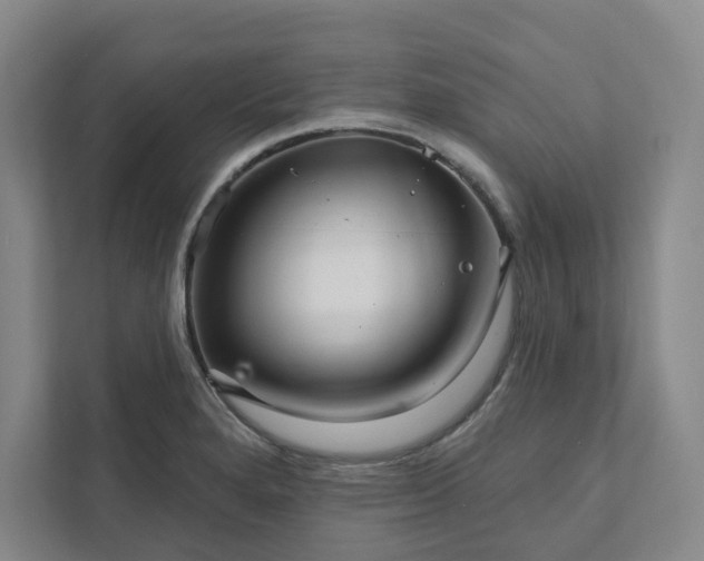 X0000111931280200908031111