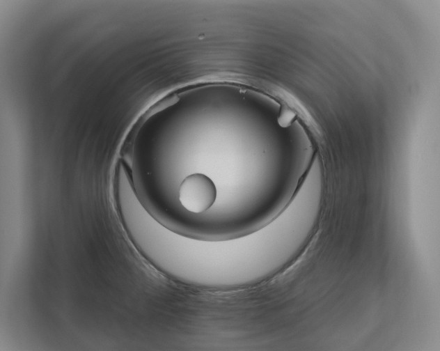 X0000111931284200908031110
