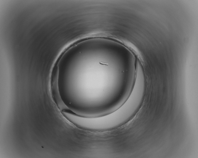 X0000111931288200908031110