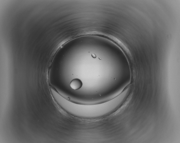 X0000111931289200908031110