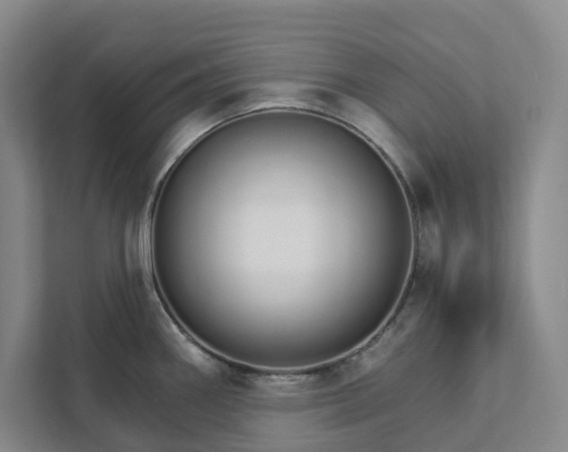 X0000111931290200908031110