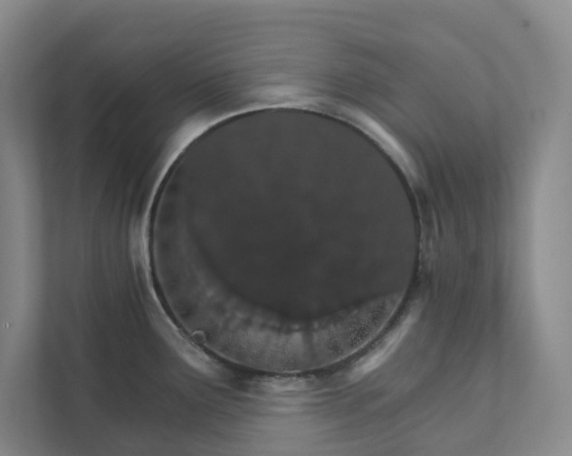 X0000111931291200908031110