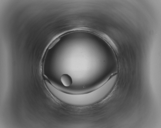 X0000111931292200908031110