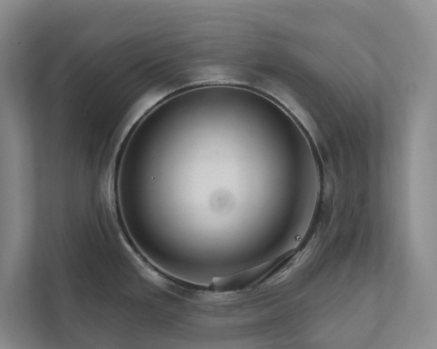 X0000111931293200908031110