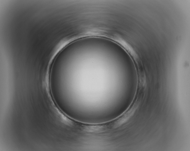X0000111931294200908031110