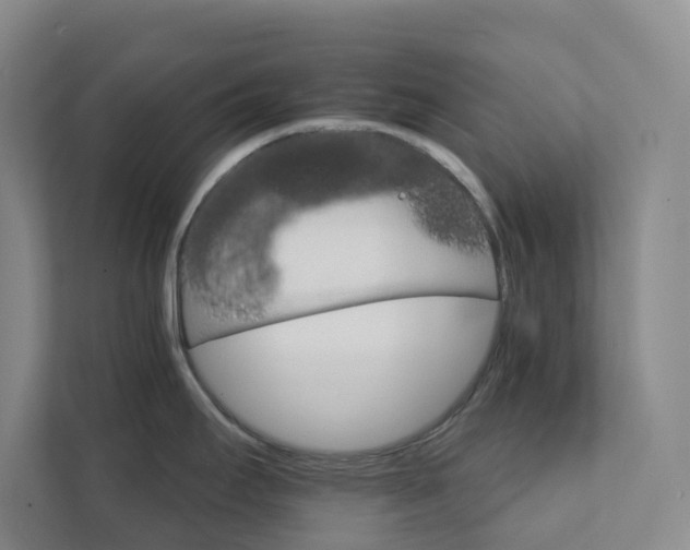 X0000111931295200908031110