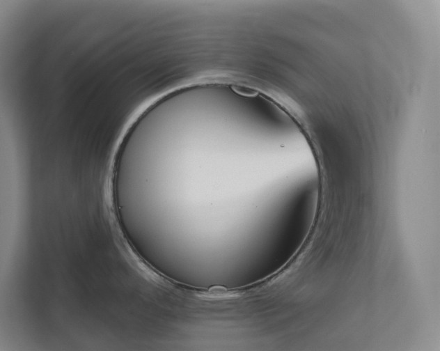 X0000111931296200908031110