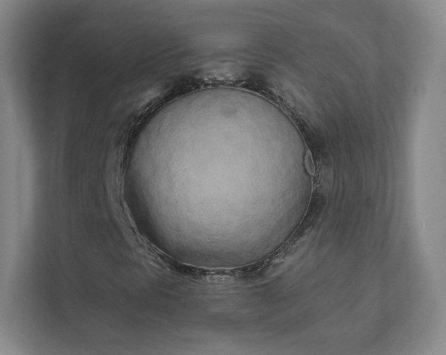 X0000111931297200908031110