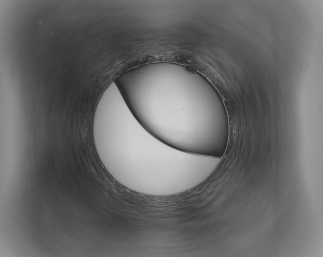 X0000111931298200908031110
