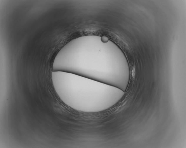 X0000111931299200908031110