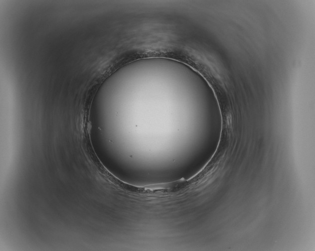 X0000111931300200908031110