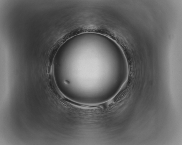 X0000111931301200908031110