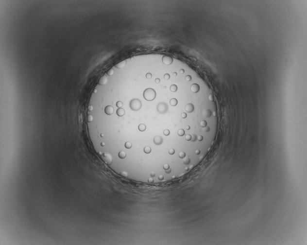 X0000111931302200908031110