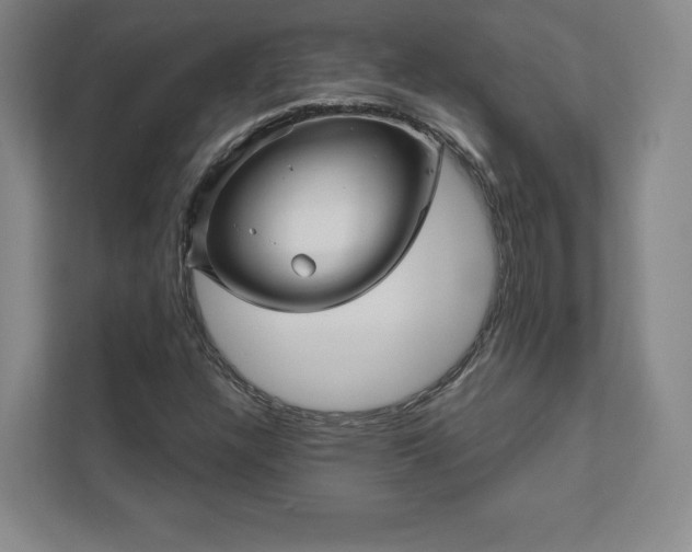 X0000111931304200908031110