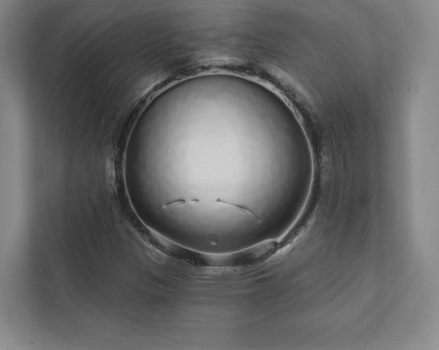 X0000111931305200908031110