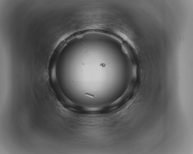 X0000111931308200908031110