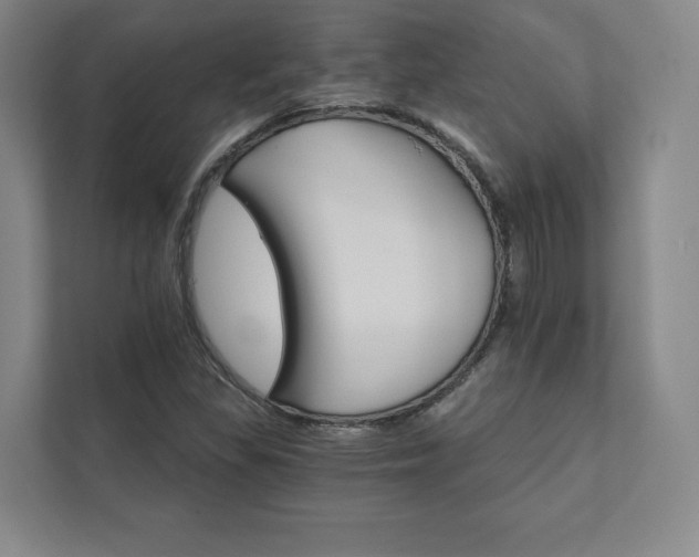 X0000111931309200908031110